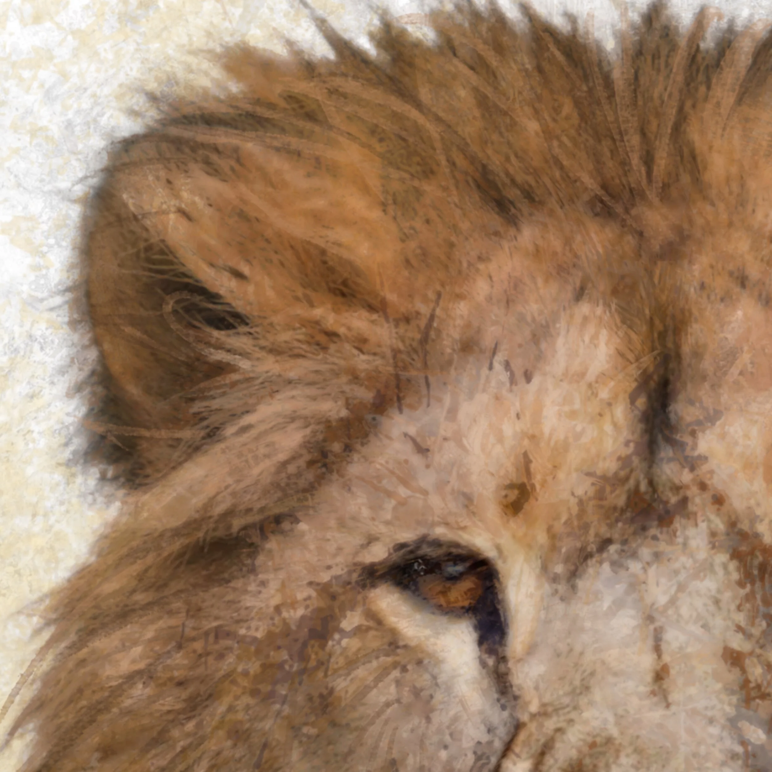 The Lion, Inklife Safari, ANTFOX Gallery — ANTFOX
